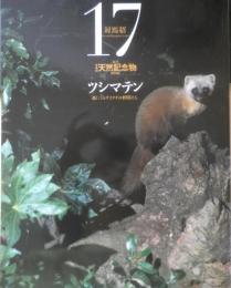週刊日本の天然記念物 動物編 17　ツシマテン　森にくらすイタチの仲間たち　小学館　2002年初版　h
