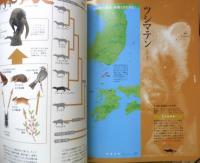 週刊日本の天然記念物 動物編 17　ツシマテン　森にくらすイタチの仲間たち　小学館　2002年初版　h
