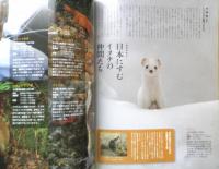 週刊日本の天然記念物 動物編 17　ツシマテン　森にくらすイタチの仲間たち　小学館　2002年初版　h
