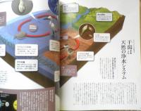 週刊日本の天然記念物 動物編 34　カブトガニ　日本列島の自然史　小学館　2003年初版　h
