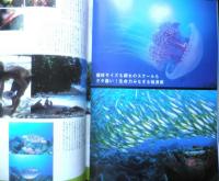 月刊ダイバー　2005年3月号No.285　巻頭/フィリピン　h
