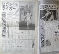 週刊ファイト　1991年9月5日No.1222　井上京子/全日女子に異色のヒロイン　新大阪新聞社　t
