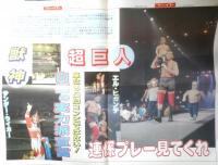 週刊ファイト　1991年8月15.22日No.1220　激震続くWWF　新大阪新聞社　t
