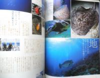 月刊ダイバー　2006年4月号No.298　フィリピンジャーニー　h
