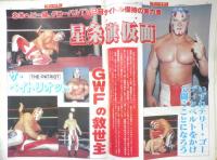 週刊ファイト　1991年9月19日No.1224　三沢組歓喜の防衛　新大阪新聞社　q
