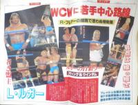 週刊ファイト　1991年9月12日No.1223　SWS動く！日本マット界統一計画　新大阪新聞社　q

