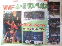 週刊ファイト　1991年4月25日No.1205　前田/「リングス」たった1人の旗揚げ　新大阪新聞社　a
