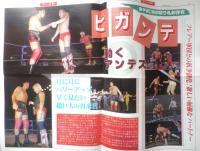 週刊ファイト　1991年7月11日No.1215　大仁田に逆転の秘策/カナダ進出　新大阪新聞社　a
