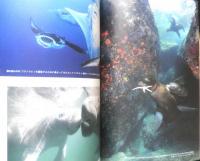 ライフスケープ　2015年Vol.2　水中フォトグラファー・鍵井靖章/生きものたちの待つ海へ！　ブティック社　a
