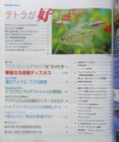 月刊アクアライフ　2011年1月号No.378　特集/小型テトラ　e
