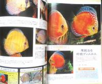 月刊アクアライフ　2011年1月号No.378　特集/小型テトラ　e

