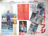 週刊ファイト　1991年6月6日No.1210　天龍/SWS社長就任の背景　新大阪新聞社　t
