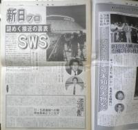 週刊ファイト　1991年10月17日No.1228　神秘のベールを脱いだザ・シーク　新大阪新聞社　t
