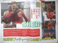 週刊ファイト　1991年10月17日No.1228　神秘のベールを脱いだザ・シーク　新大阪新聞社　t
