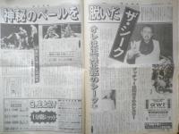 週刊ファイト　1991年10月17日No.1228　神秘のベールを脱いだザ・シーク　新大阪新聞社　t
