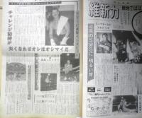 週刊ファイト　1991年2月14日No.1195　大仁田/試練のあとは地獄　新大阪新聞社　t
