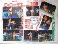 週刊ファイト　1991年4月11日No.1203　有刺鉄線バリケード地雷爆破マッチ！！　新大阪新聞社　u
