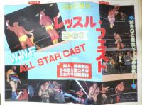 週刊ファイト　1991年4月4日No.1202　藤波/NWA王者だ　新大阪新聞社　u

