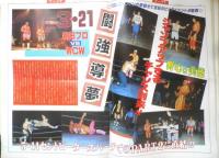 週刊ファイト　1991年3月28日No.1201　前田の隠し玉/JSBが完全放送　新大阪新聞社　u
