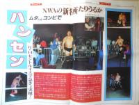 週刊ファイト　1991年6月20日No.1212　ハンセン組怒りの猛爆V2　新大阪新聞社　x

