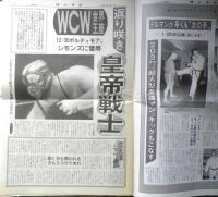 週刊ファイト　1993年1月21日No.1291　猪木VS天龍実現　新大阪新聞社　x
