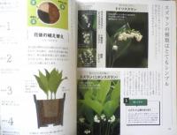 趣味の園芸　2017年4月号　特集/香る、食べる、ハーブ　NHKテキスト　3

