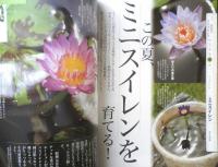 趣味の園芸　2017年8月号　大特集/真夏の3大プランツ　NHKテキスト　3
