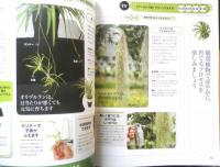 趣味の園芸　2017年8月号　大特集/真夏の3大プランツ　NHKテキスト　3
