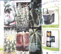 趣味の園芸　2018年8月号　大特集/夏の多肉植物　NHKテキスト　3
