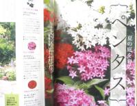 趣味の園芸　2018年8月号　大特集/夏の多肉植物　NHKテキスト　3
