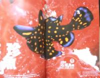 DIVING Photography ダイビングフォトグラフィー　2002年No.17　特集/珍魚列島・レアな生物を求めて南へ北へ　マリン企画　3
