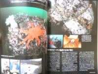 DIVING Photography ダイビングフォトグラフィー　2002年No.17　特集/珍魚列島・レアな生物を求めて南へ北へ　マリン企画　3
