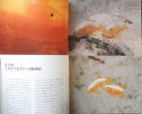 DIVING Photography ダイビングフォトグラフィー　2002年No.17　特集/珍魚列島・レアな生物を求めて南へ北へ　マリン企画　3
