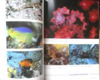 DIVING Photography ダイビングフォトグラフィー　2003年No.18　特集/水中写真家の吉野雄輔の小笠原　マリン企画　3
