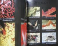 DIVING Photography ダイビングフォトグラフィー　2001年No.11　特集/マブール＆柏島・マクロ生物の撮りかた　マリン企画　u
