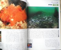 DIVING Photography ダイビングフォトグラフィー　2001年No.12　特集/南の島のフォトグラフィー　マリン企画　u
