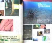 DIVING Photography ダイビングフォトグラフィー　1999年No.6　特集/イルカに恋して　マリン企画　u
