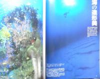 DIVING Photography ダイビングフォトグラフィー　1999年No.4　特集/限りなき表現力ワイド・ワイド・ワイド　マリン企画　u
