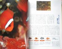 DIVING Photography ダイビングフォトグラフィー　1999年No.4　特集/限りなき表現力ワイド・ワイド・ワイド　マリン企画　u
