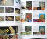 DIVING Photography ダイビングフォトグラフィー　1998年No.3　特集/エビ・カニを探せ！　マリン企画　3
