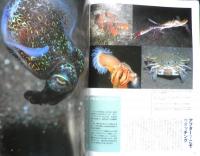 DIVING Photography ダイビングフォトグラフィー　1998年No.1　特集/大瀬崎のネイチャーフォト　マリン企画　3
