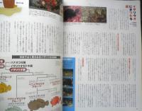 DIVING Photography ダイビングフォトグラフィー　1998年No.1　特集/大瀬崎のネイチャーフォト　マリン企画　3
