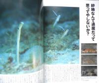 DIVING Photography ダイビングフォトグラフィー　1999年No.5　特集/砂地へGo！　マリン企画　3

