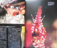 DIVING Photography ダイビングフォトグラフィー　2003年No.19　特集/FACE・このカオ撮りたいでしょ？　マリン企画　3

