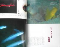 DIVING Photography ダイビングフォトグラフィー　2000年No.9　特集/ゴビーマニア！　マリン企画　3
