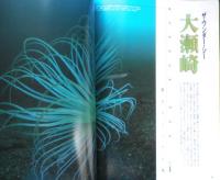 DIVING Photography ダイビングフォトグラフィー　2000年No.8　特集/ザ・ワンダー・ザ・シー大瀬崎　マリン企画　h
