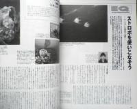 DIVING Photography ダイビングフォトグラフィー　2000年No.8　特集/ザ・ワンダー・ザ・シー大瀬崎　マリン企画　h
