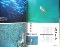 DIVING Photography ダイビングフォトグラフィー　2001年No.10　特集/BALI MAGIC　マリン企画　h
