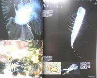 DIVING Photography ダイビングフォトグラフィー　2004年No.20　巻頭特集/Baby Baby・幼魚に会いたい！　マリン企画　h
