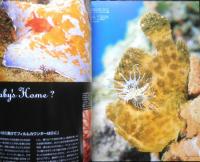 DIVING Photography ダイビングフォトグラフィー　2004年No.20　巻頭特集/Baby Baby・幼魚に会いたい！　マリン企画　h
